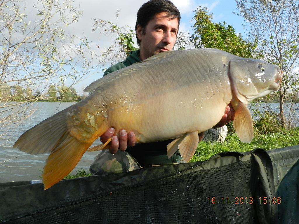 15 noiembrie 2013 - dscn1771.JPG